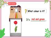 人教版PEP（2024）英語三年級上冊--Unit5 The colourful world B Start to read & C Project（課件+素材）