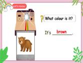 人教版PEP（2024）英語三年級上冊--Unit5 The colourful world B Start to read & C Project（課件+素材）