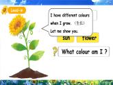 人教版PEP（2024）英語(yǔ)三年級(jí)上冊(cè)--Unit5 The colourful world C Reading time（課件+素材）