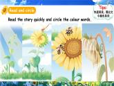 人教版PEP（2024）英語(yǔ)三年級(jí)上冊(cè)--Unit5 The colourful world C Reading time（課件+素材）