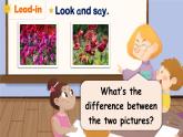 【新課標(biāo)】人教版PEP英語三年級上冊 Unit 4 Plants around us Part B 第5課時（課件+音視頻素材）