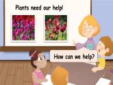 【新課標(biāo)】人教版PEP英語三年級上冊 Unit 4 Plants around us Part B 第5課時（課件+音視頻素材）