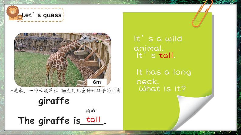 新三上Unit3 Amazing animals Part B Start to read  PPT课件04