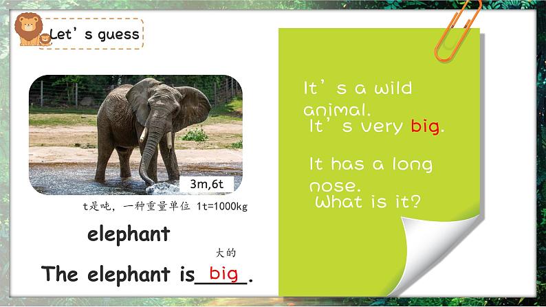 新三上Unit3 Amazing animals Part B Start to read  PPT课件06