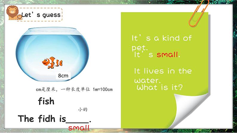 新三上Unit3 Amazing animals Part B Start to read  PPT课件07