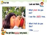 新三上Unit 4 Plants  around us   PartA  Let's talk  PPT课件