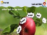 新三上Unit 4 Plants  around us   PartA  Let's talk  PPT课件