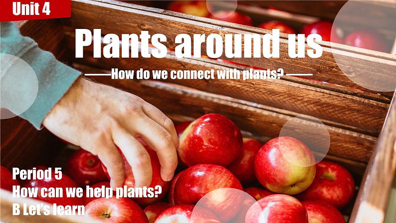 新三上Unit 4 Plants around us PartB  Let's learn  PPT课件02