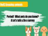 三上Unit 3 Amazing animals PartA Let's talk  PPT课件