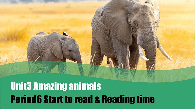 三上Unit 3 Amazing animals PartC tart to read+Reading time第1页