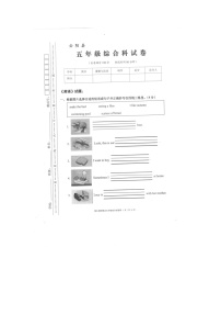 重庆市云阳县2023-2024学年五年级上学期期末考试综合（英语+道德与法治+科学）试题