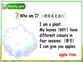 Unit4 Plants around us PartB Reading time  PPT课件