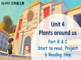 【新課標】人教版PEP英語三年級上冊 Unit 4 Plants around us Part B&C 第6課時（課件+音視頻素材） 資料簡介： -