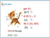 Unit 3 Lesson 1  This is my head 课件 素材