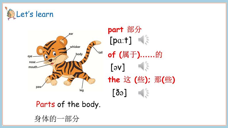 Unit 3 Lesson 1  This is my head 课件 素材05