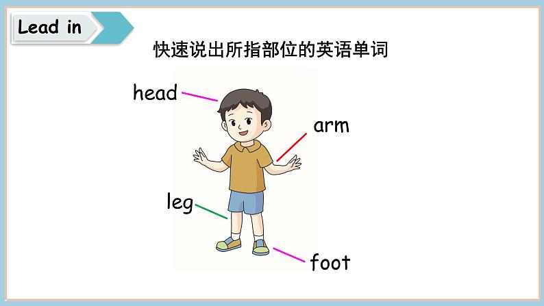 Unit 3 Lesson 2  It’s a small nose 课件03