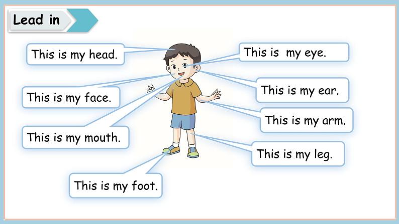 Unit 3 Parts of the body Lesson 3  I have two wings 课件 素材03