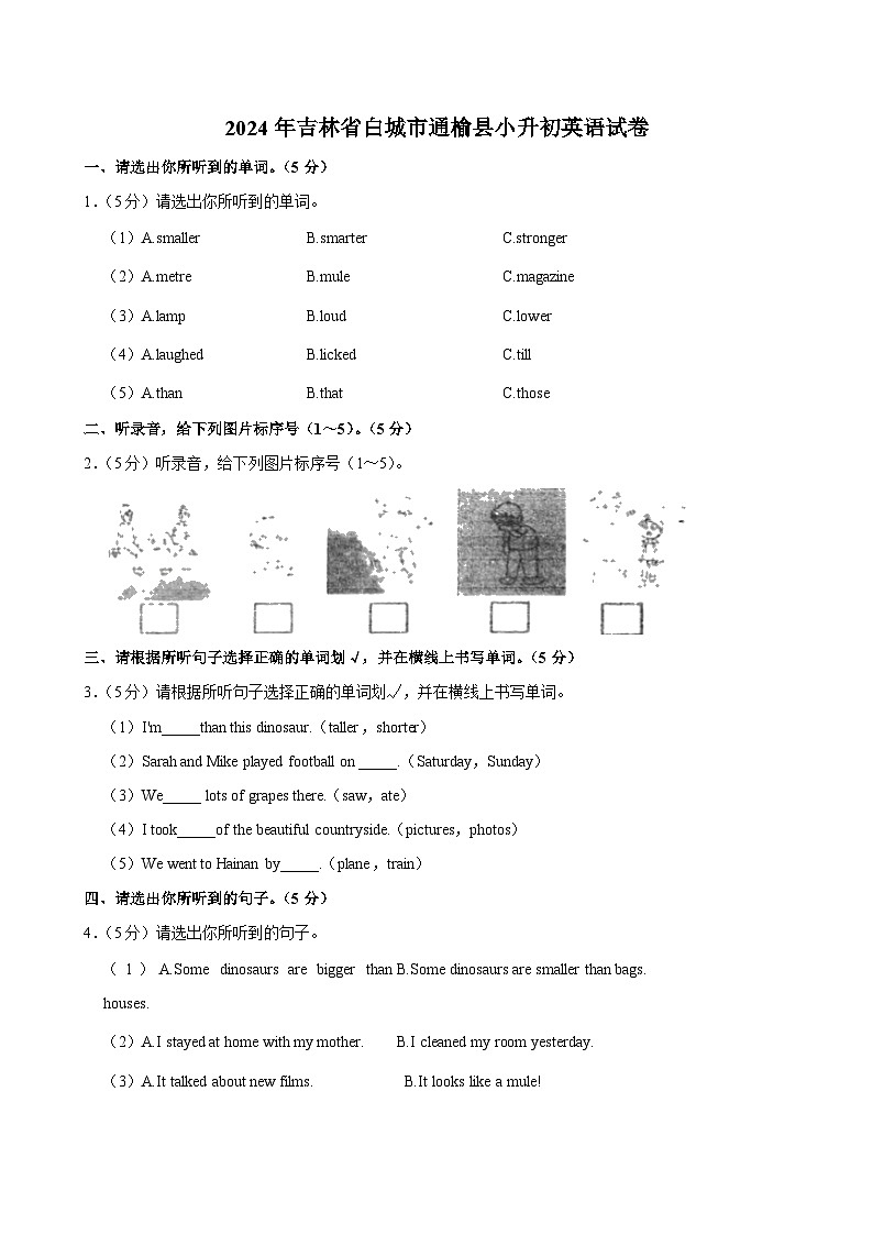 2024年吉林省白城市通榆县小升初英语试卷第1页