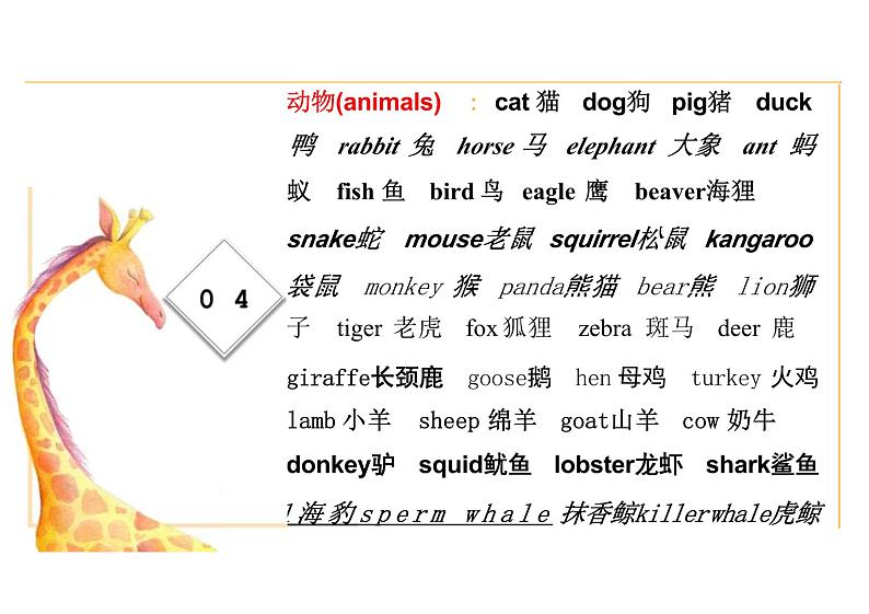 小学英语单词分类（课件）人教PEP版英语六年级下册04