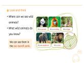三上最新版PEP Unit 3 Lesson 5教參課件