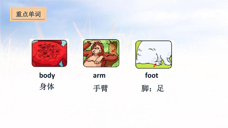 五年级上册英语课件－Unit 3 Our animal friends第2页