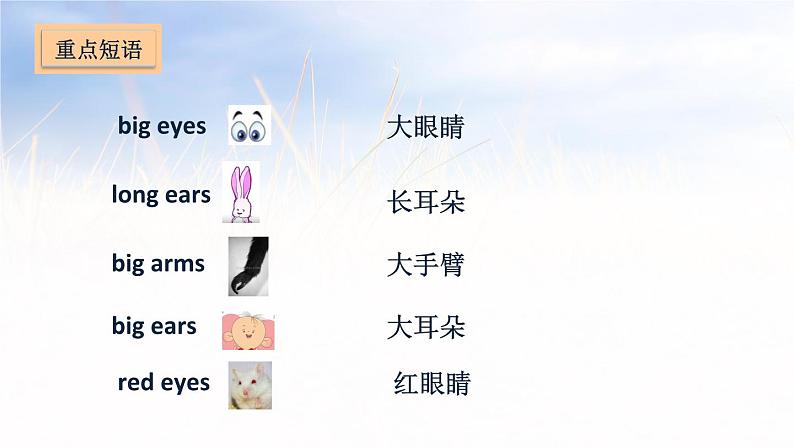 五年级上册英语课件－Unit 3 Our animal friends第5页