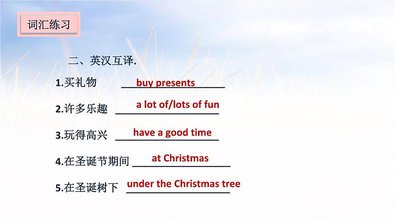 五年级上册英语课件－Unit 8 At Christmas03