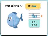Unit 7 What colour is it？ 第1課時(shí) Part A-C（課件+素材）-2024-2025學(xué)年湘少版（三起）（2024）英語三年級(jí)上冊(cè)