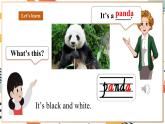 人教pep版英语三年级上册Unit3 Amazing animals Part B learn课件+单元整体设计+素材