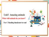 人教pep版英语三年级上册Unit3 Amazing animals Part C  Reading time&start to read课件+单元整体设计+素材