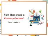 人教pep版英语三年级上册Unit4 Plants around us  Part A Let's learn课件+单元整体设计+素材