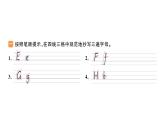 小学英语新人教版PEP三年级上册Unit2 Different families作业课件（2024秋）