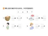 小学英语新人教版PEP三年级上册Unit2 Different families作业课件（2024秋）