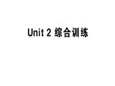 小学英语新人教版PEP三年级上册Unit2 Different families笔试综合训练课件（2024秋）