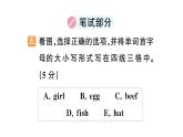 小学英语新人教版PEP三年级上册Unit2 Different families笔试综合训练课件（2024秋）