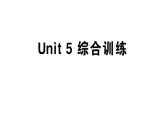 小学英语新人教版PEP三年级上册Unit5 The colourful world笔试综合训练课件（2024秋）