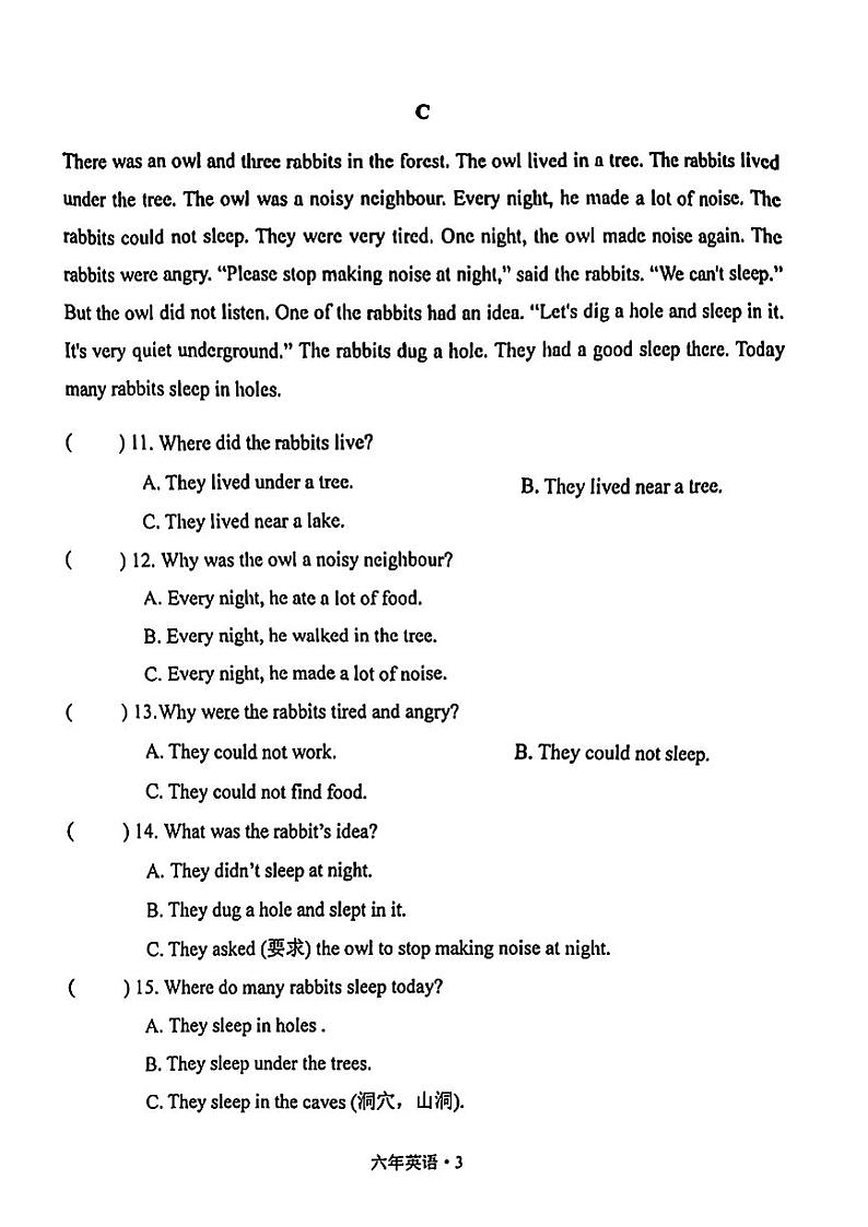 辽宁省沈阳市沈北新区2024-2025学年六年级上学期期中英语试题03