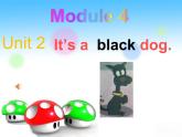 M4U2 It's a black dog.課件