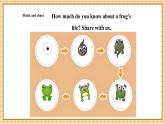【新教材】滬教牛津版（六三制一起）英語三年級上冊Unit 6 What do we like about small animals Period 4 （課件+大單元教學設計）