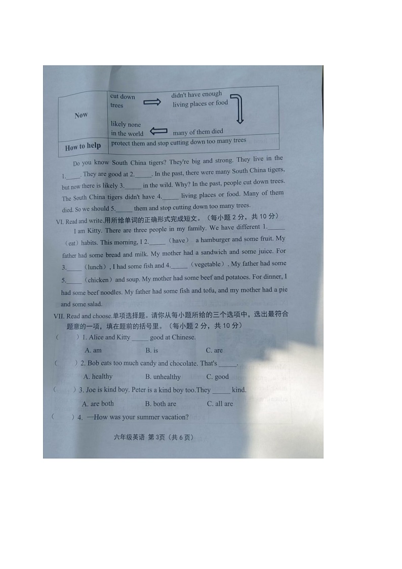 山西省长治市2024-2025学年六年级上学期期中英语试题03