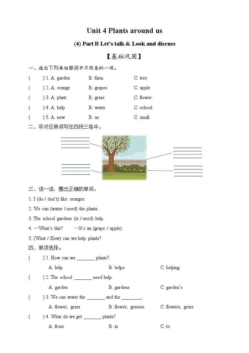 新人教版PEP小学英语三上 Unit 4 Plants around us Part B Let's talk & Look and discuss 同步练习（含答案）第1页