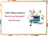 人教pep版英语三年级上册Unit4 Plants around us Part B  Let's learn课件+单元整体设计+素材