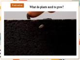 人教pep版英语三年级上册Unit4 Plants around us Part B  Let's learn课件+单元整体设计+素材