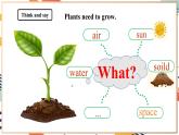 人教pep版英语三年级上册Unit4 Plants around us Part B  Let's learn课件+单元整体设计+素材