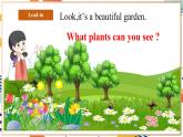 人教pep版英语三年级上册Unit4 Plants around us Part B  Let's learn课件+单元整体设计+素材