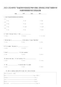 2023-2024学年广东省深圳市宝安区沪教牛津版(深圳用)三年级下册期中学科素养课堂提升练习英语试卷(含解析)