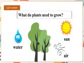 人教pep版英语三年级上册Unit4 Plants around us Part B start to read课件+单元整体教学设计+素材