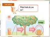人教pep版英语三年级上册Unit4 Plants around us Part B start to read课件+单元整体教学设计+素材