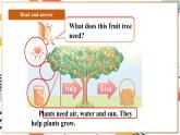 人教pep版英语三年级上册Unit4 Plants around us Part B start to read课件+单元整体教学设计+素材