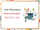 人教pep版英语三年级上册Unit4 Plants around us Part B let's talk 课件+单元整体教案 +素材